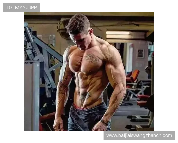 东博视讯官网最新资讯与产品介绍全面解析助你快速了解行业动态