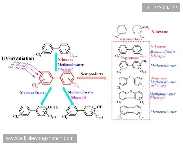 多宝真人游戏官网网址最新入口，安全稳定的官方平台推荐