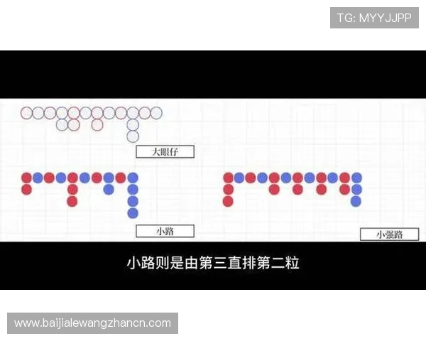 如何利用百家乐路单图片进行科学分析，提升你的赢钱概率与策略制定